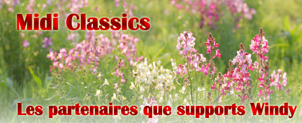 Les partenaires que supports Windy