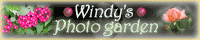 Windy's photo garden